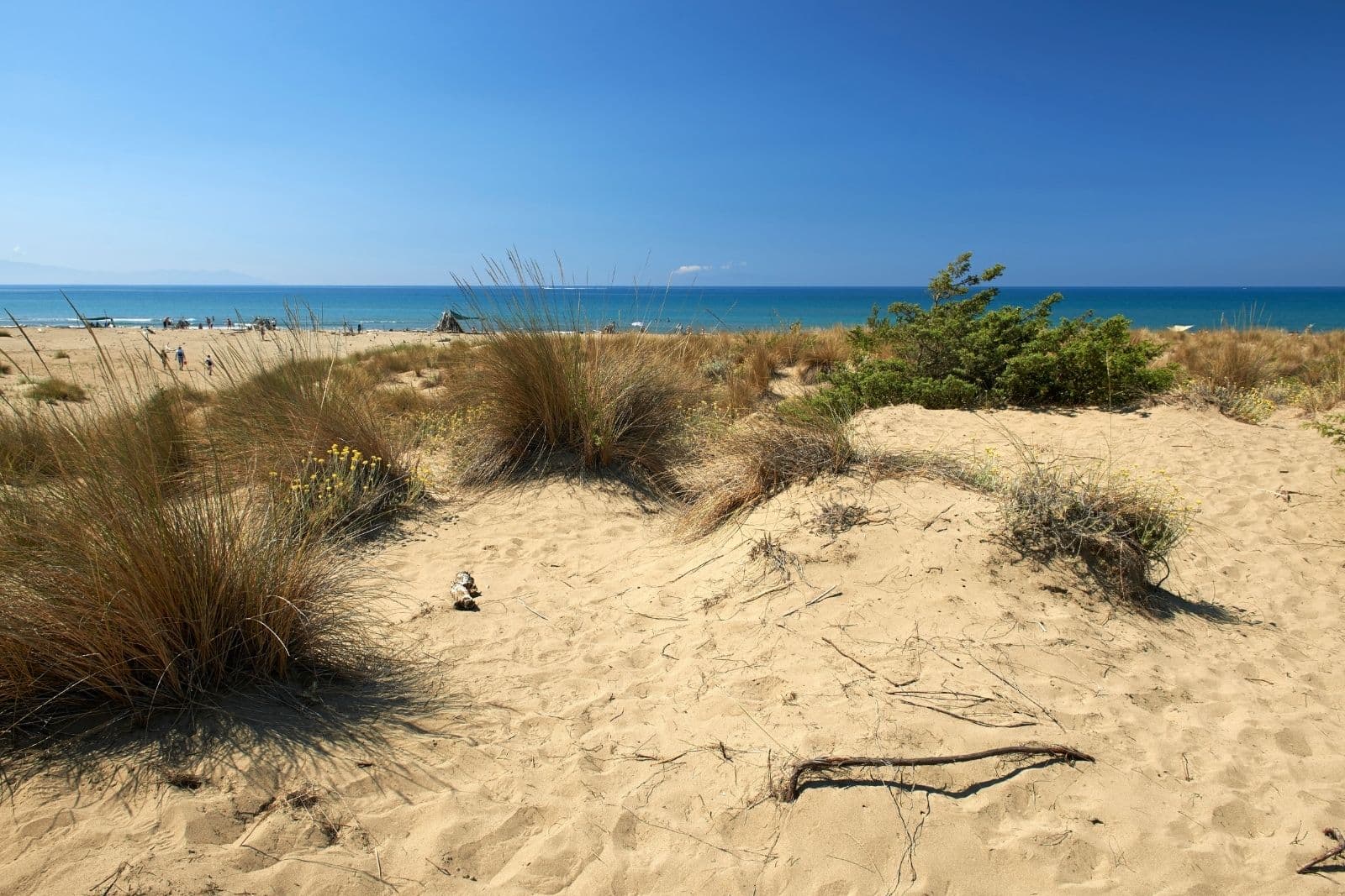 Playa y mar