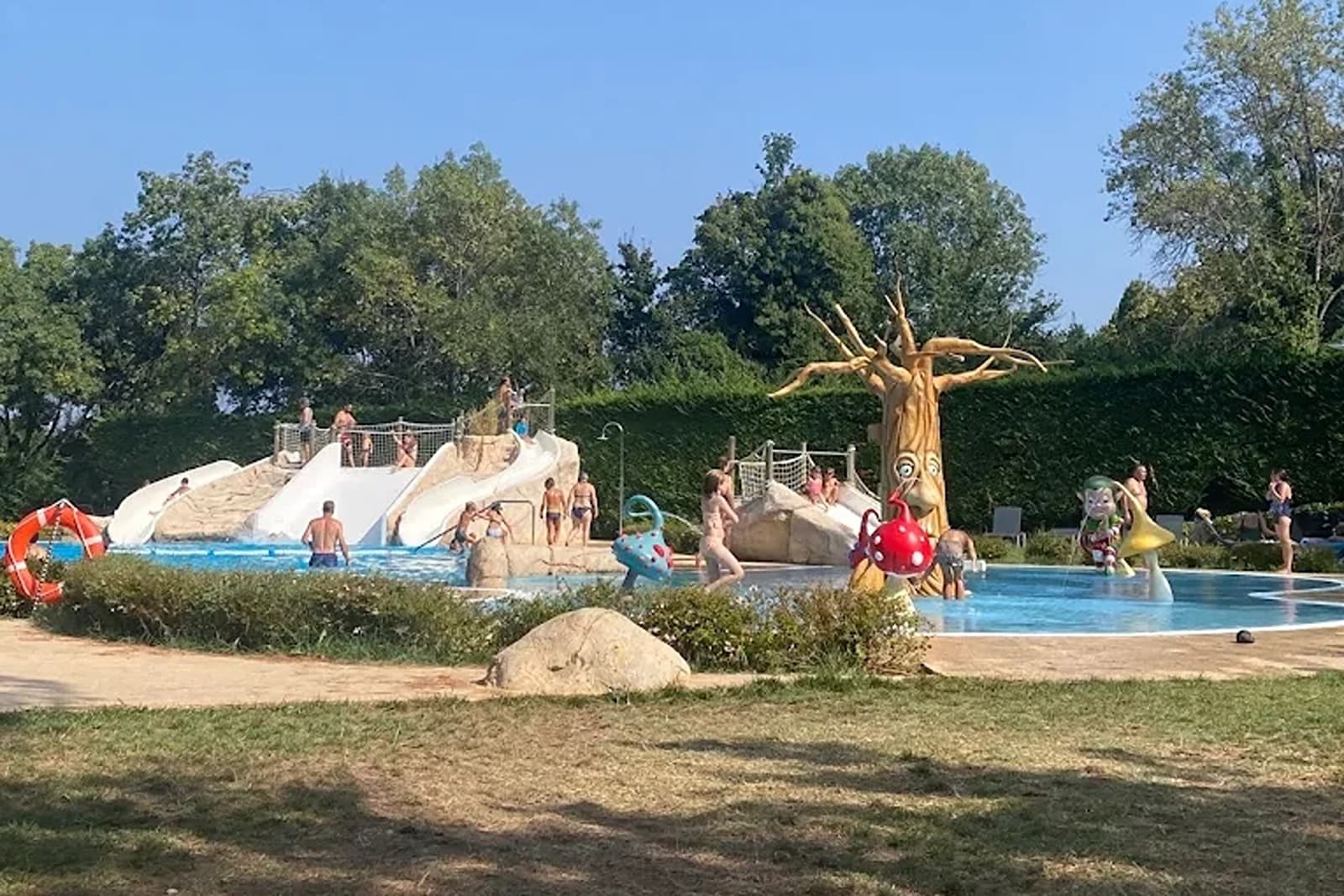 Foto 3