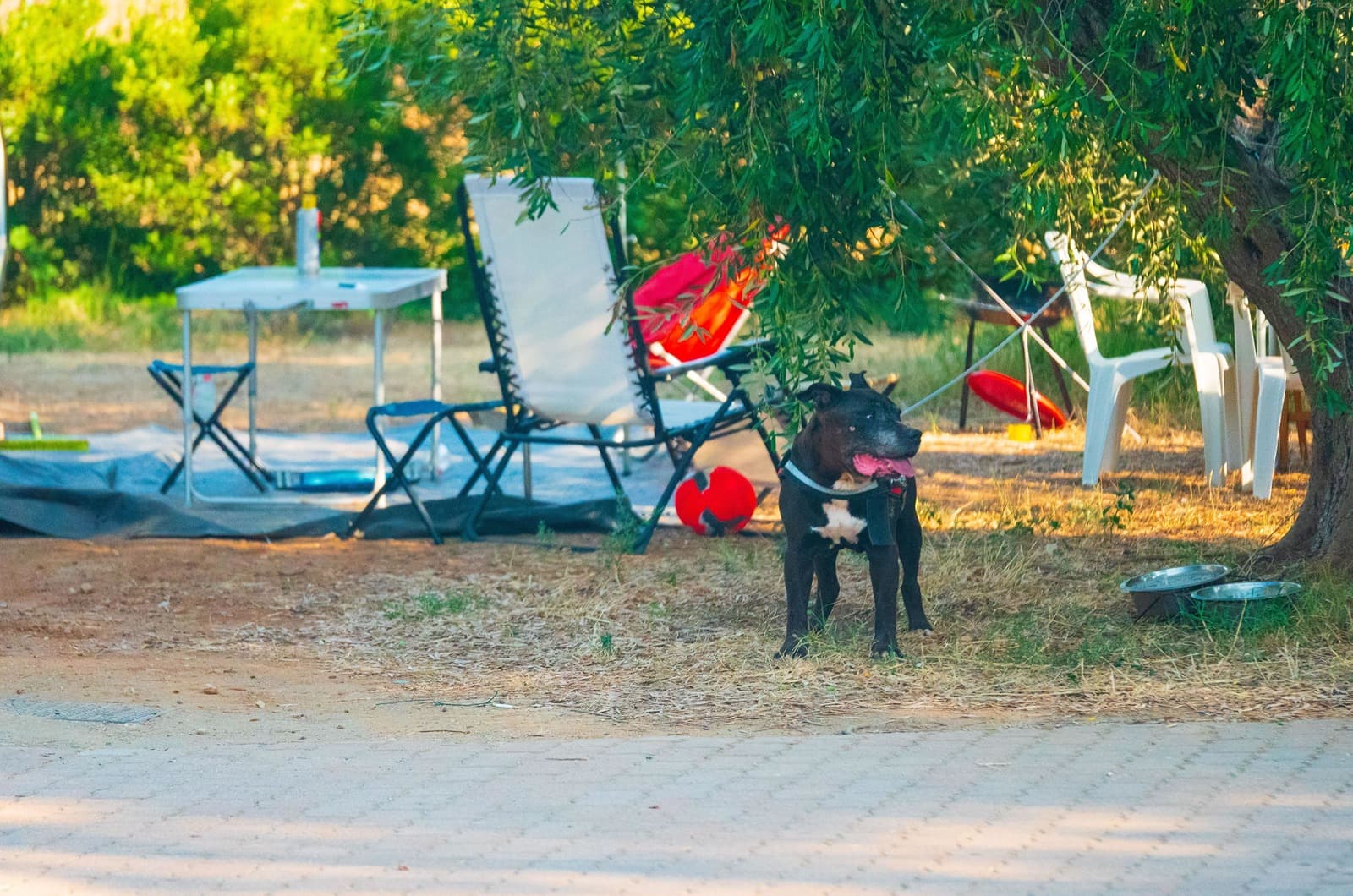 Per camper e caravan