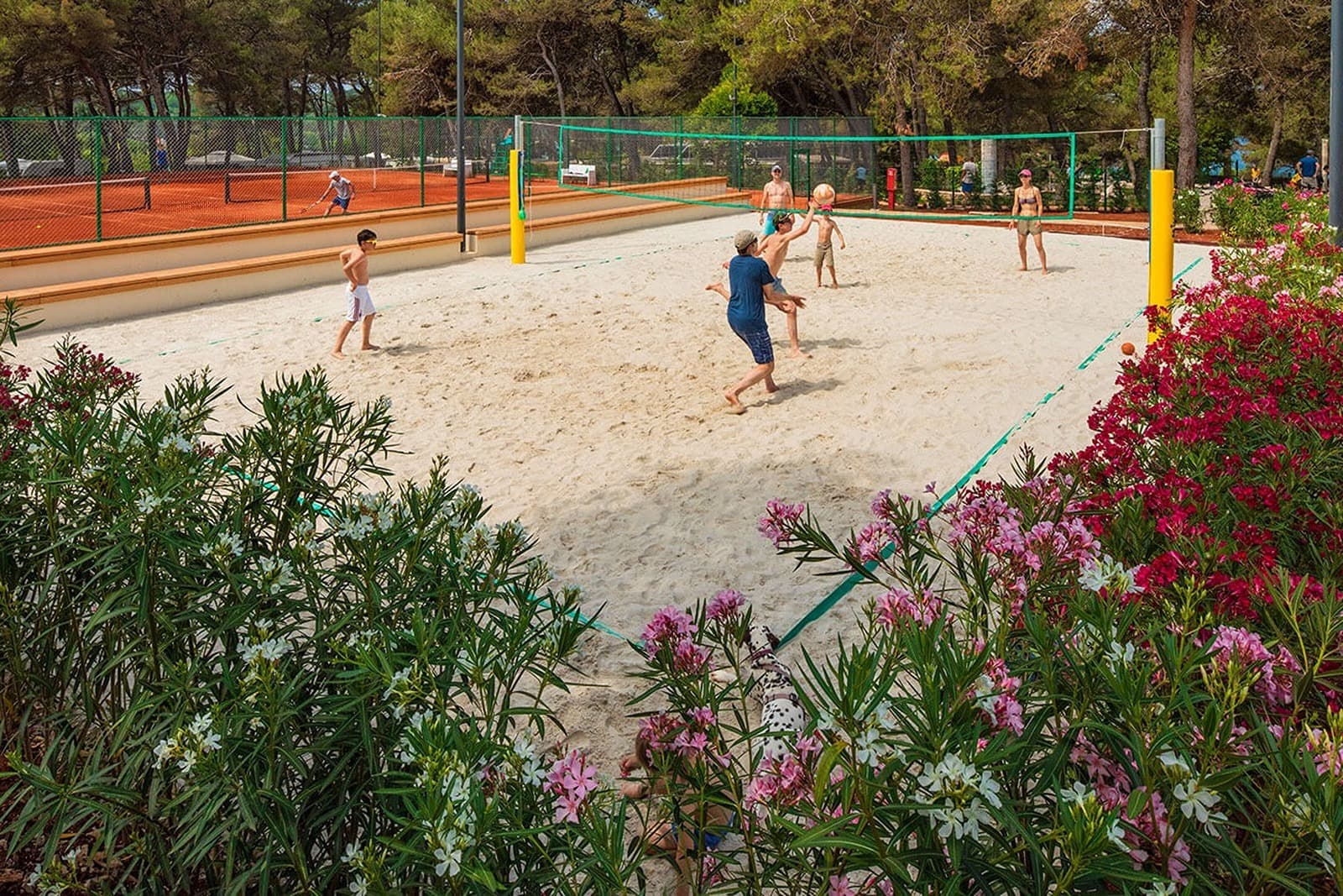 Deportes y actividades