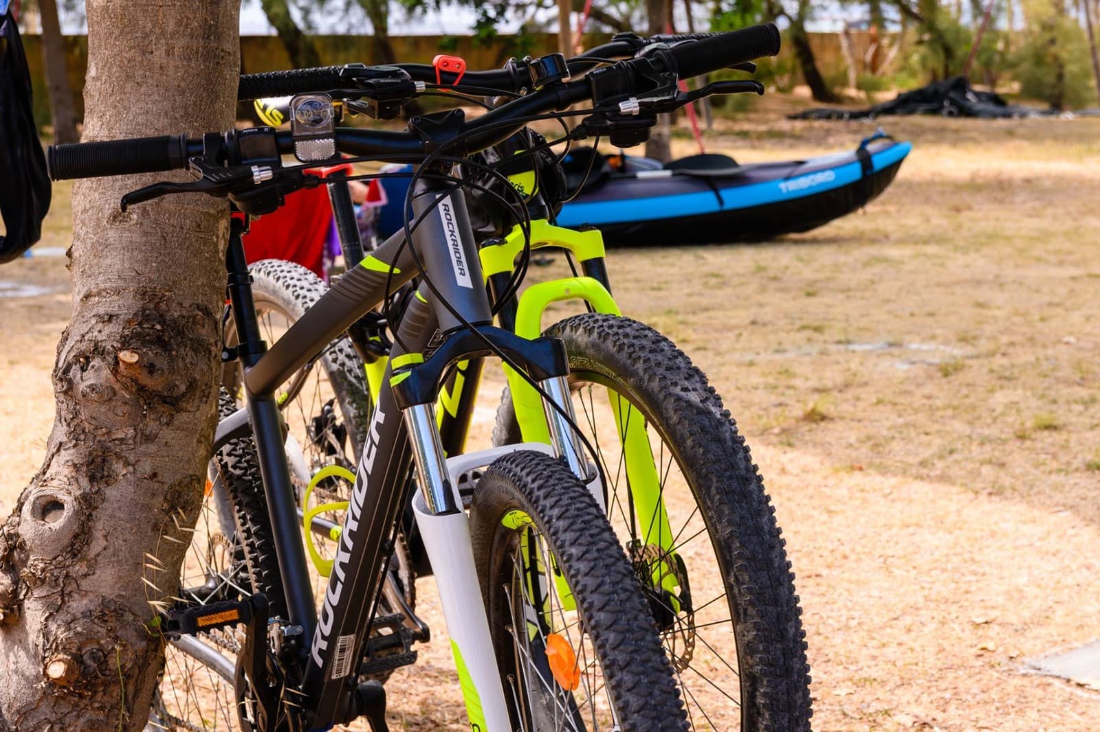 Sport e Attività