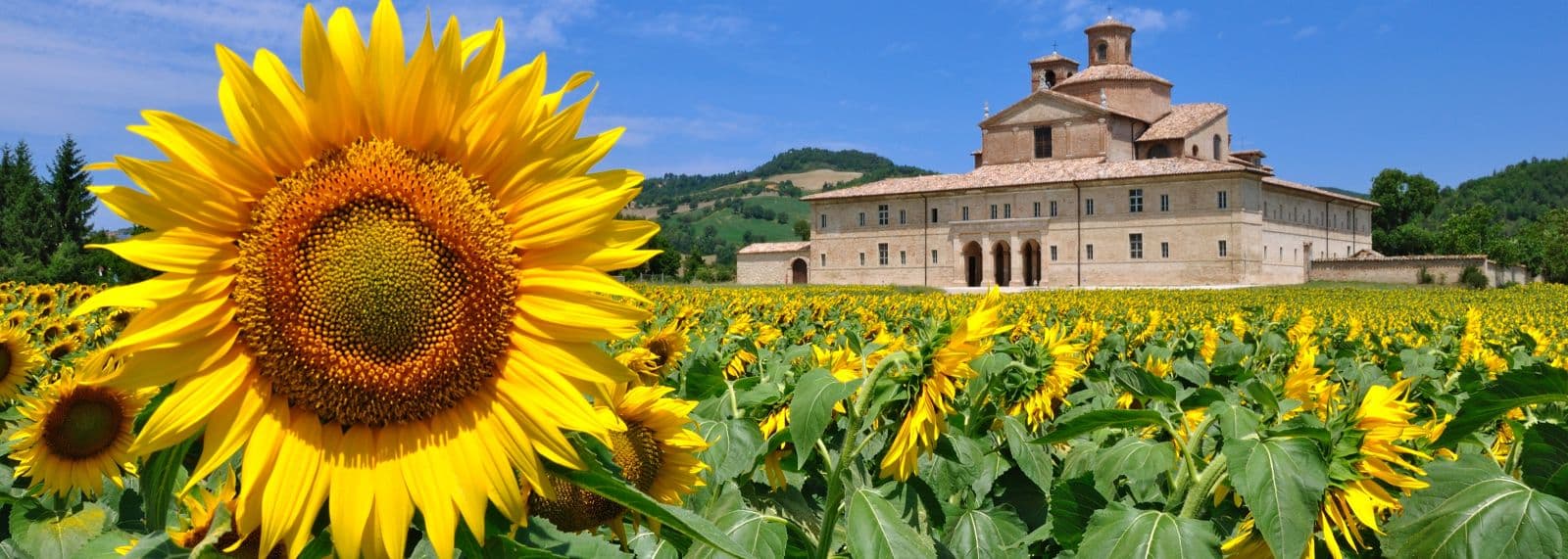 Le Marche